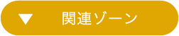 関連ゾーン