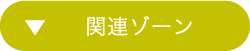 関連ゾーン